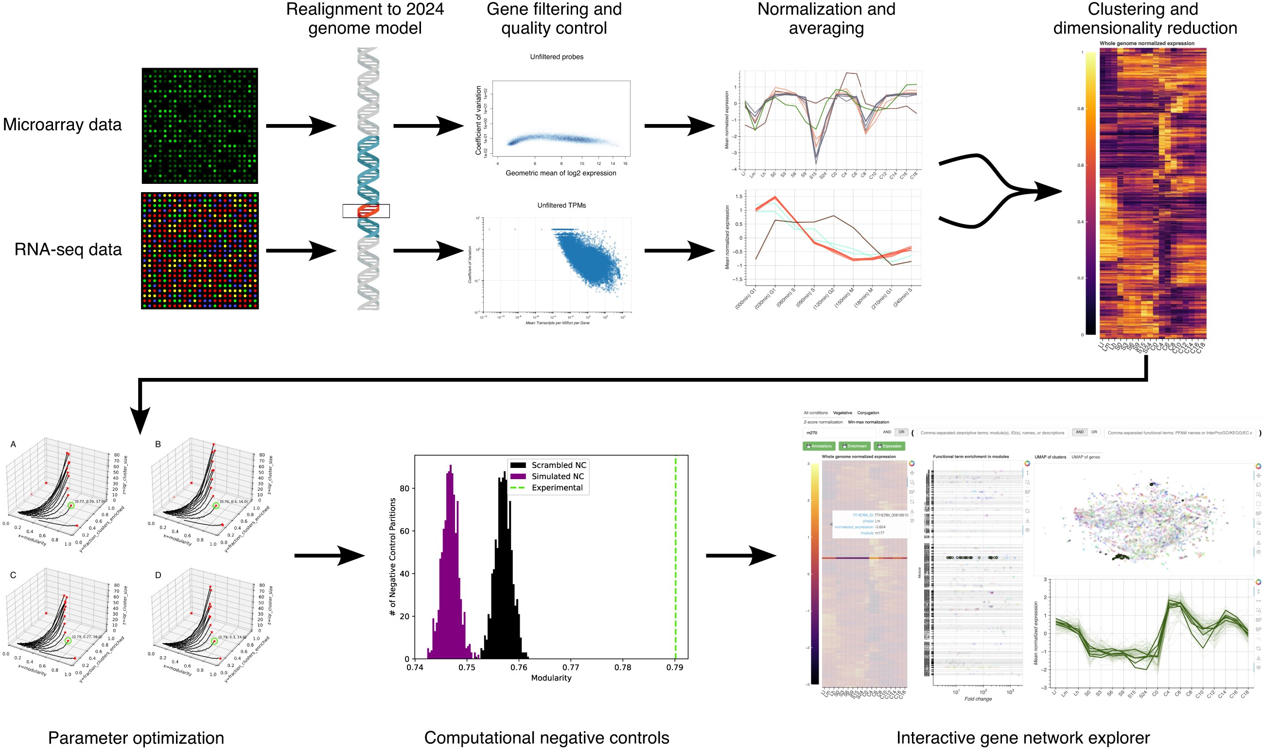 TGNE Graphical Abstract